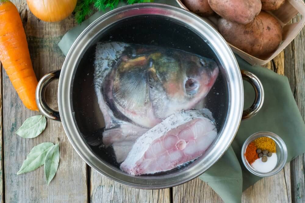 Уха из головы толстолобика – рыбные рецепты