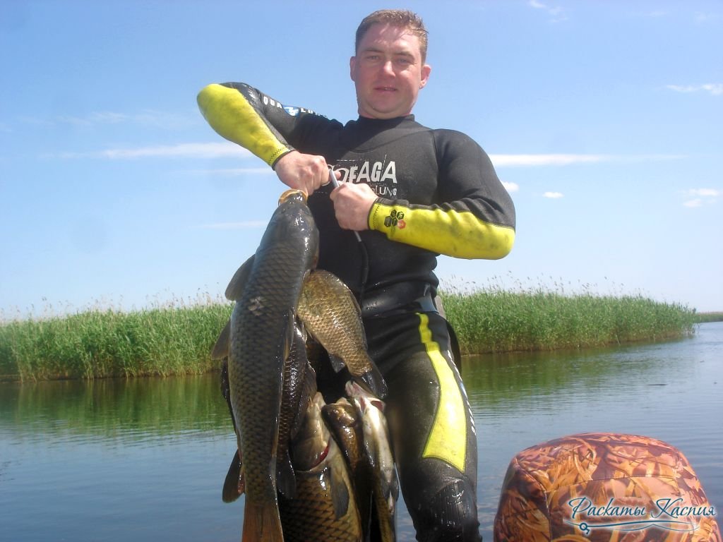 Рыбалка в астрахани: 80 лучших баз, лучшие места для ловли