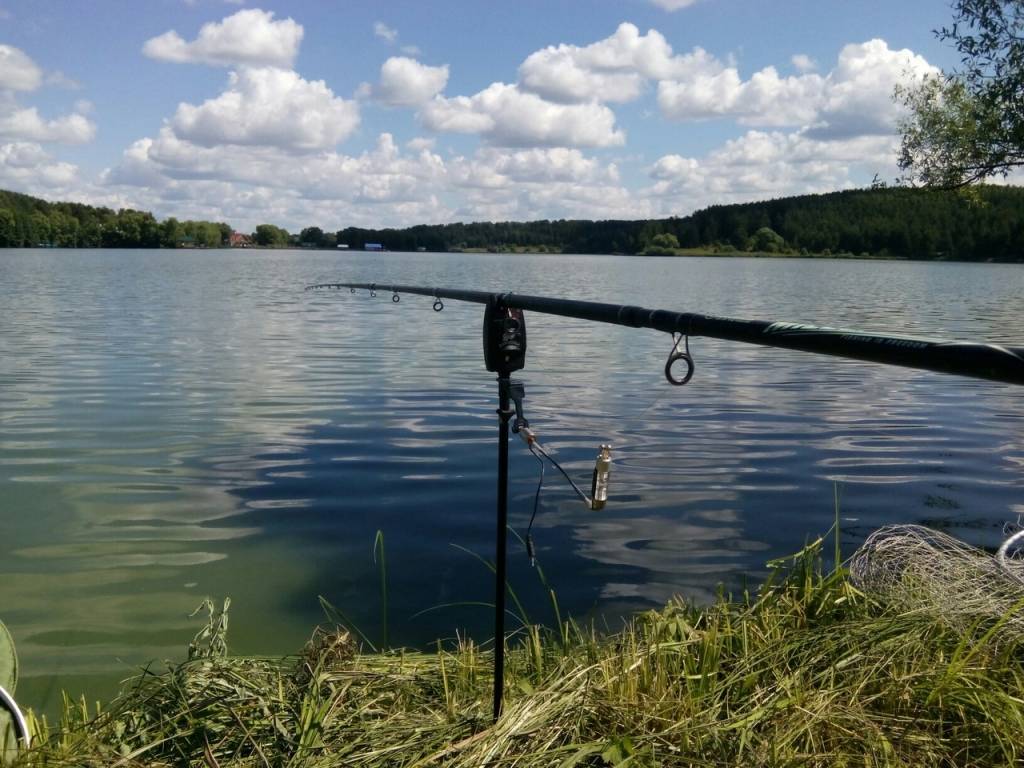 Платная рыбалка в пензе