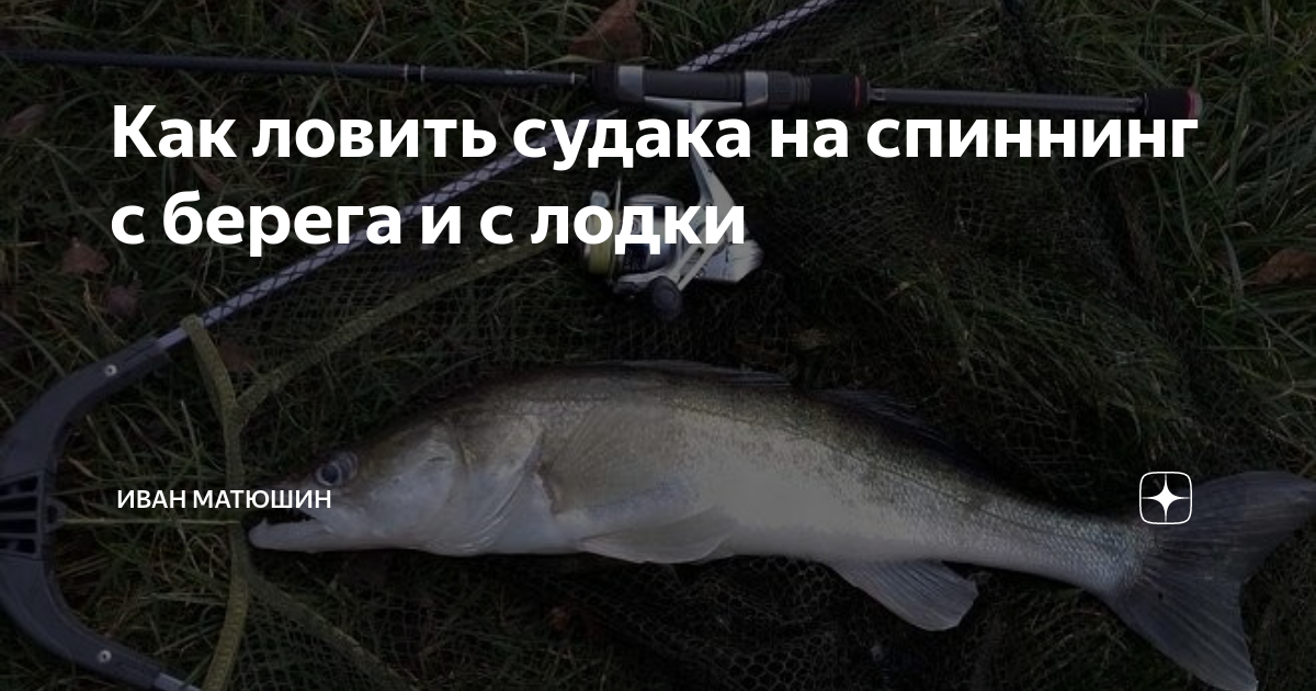 Рыбалка в сибири: особенности, рыбы сибирских водоемов, лучшие места для ловли