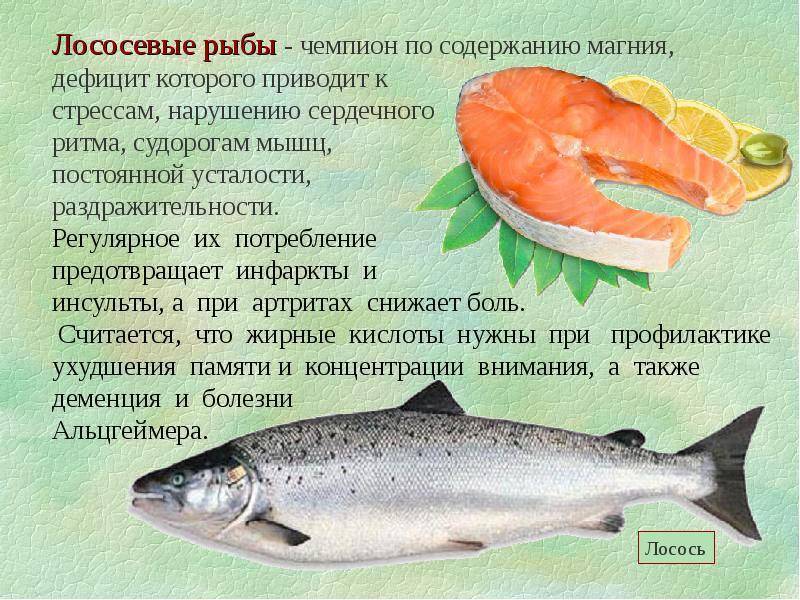 Что за рыба макрорус и как ее готовить