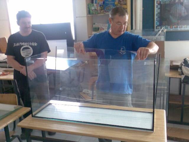 Как сделать аквариум из стекла своими руками в домашних условиях
