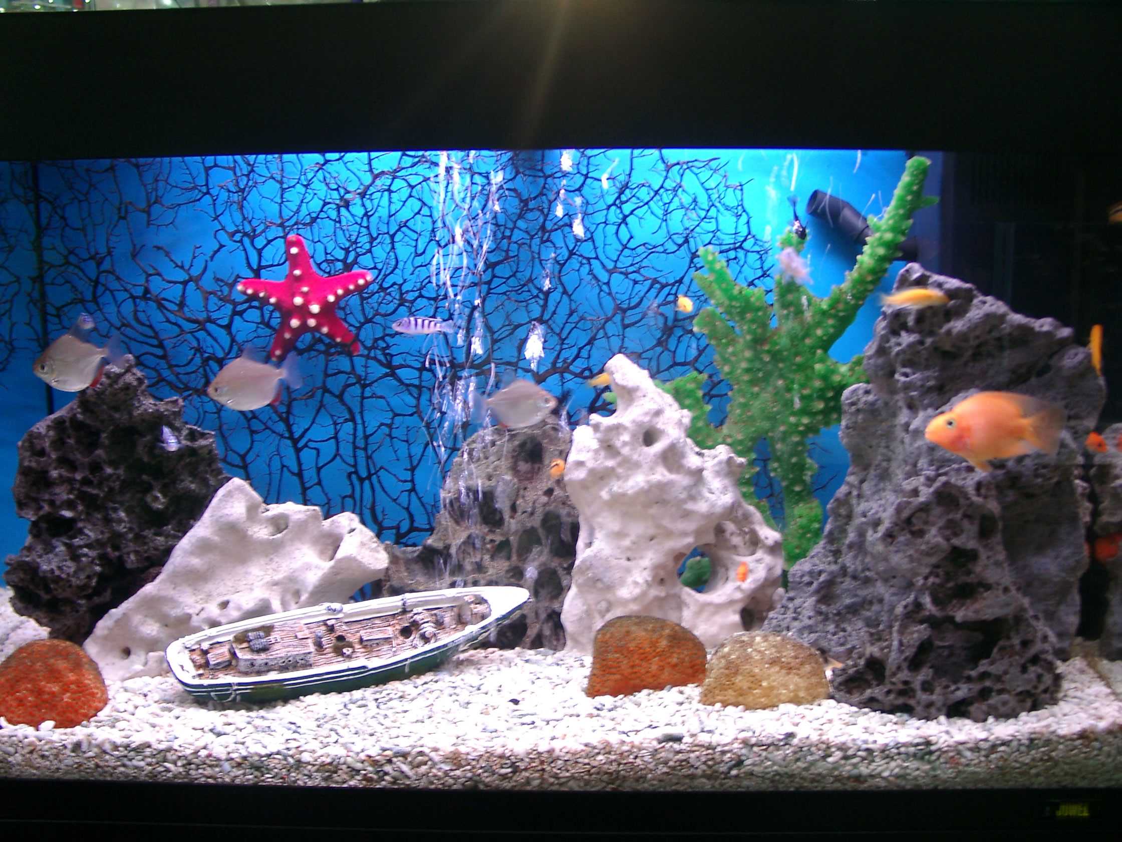 Как украсить аквариум в домашних условиях своими руками