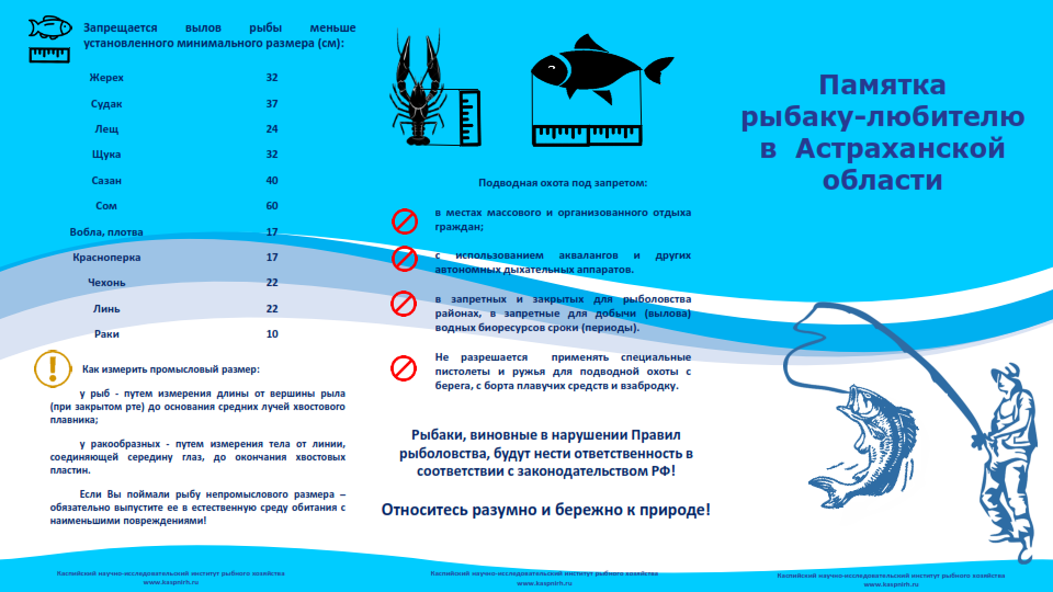 Памятка для рыбаков любителей в Астраханской области. Памятка для рыболовов любителей. Памятка рыбаку-любителю в Астраханской. Памятки для рыбаков. Запрет на вылов рыбы 2024