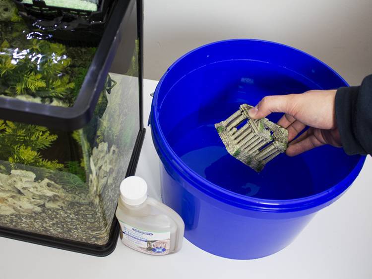 Как чистить аквариум и менять воду в домашних условия