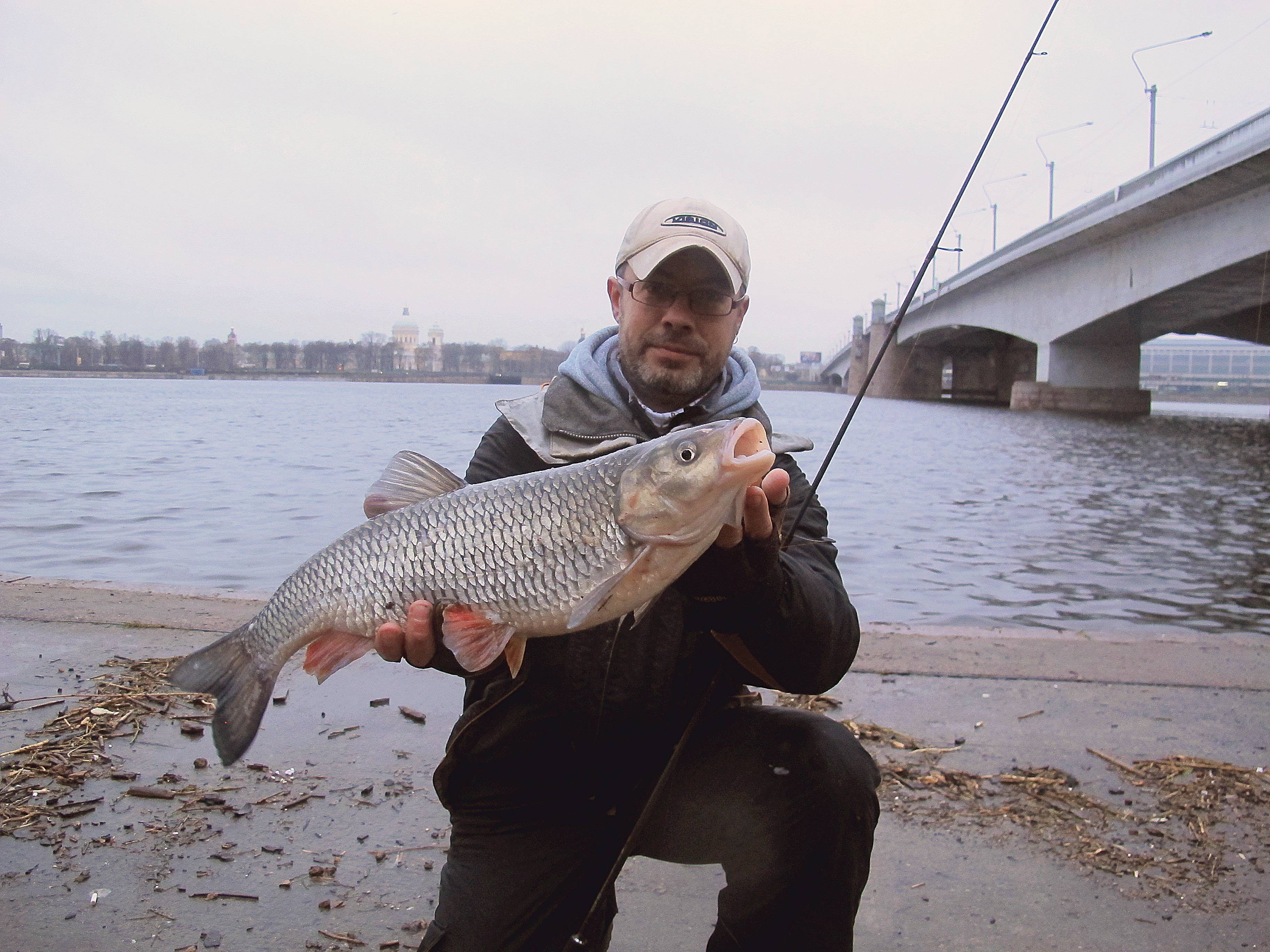 Где ловить рыбу в ленинградской области - читайте на сatcher.fish