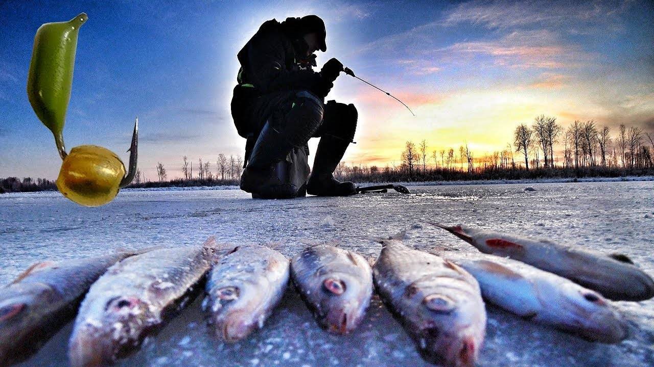 Зимний подледный лов для начинающих: cоветы начинающему зимнику - читайте на сatcher.fish