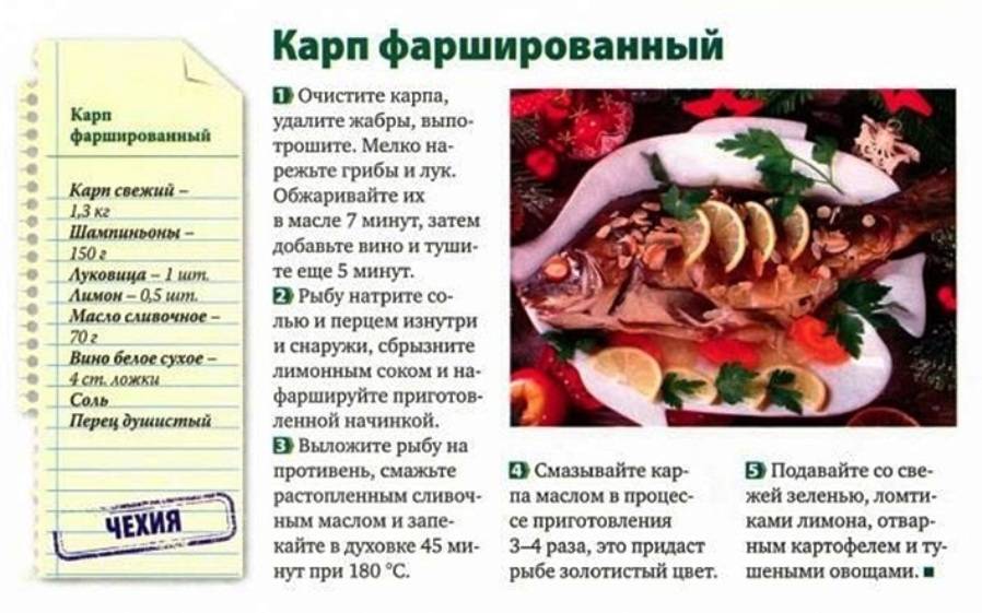 Блюда из сазана. рецепты простые и вкусные с фото