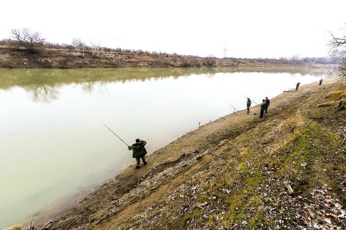 Самые рыбные места в краснодарском крае и краснодаре, где стоит ловить рыбу