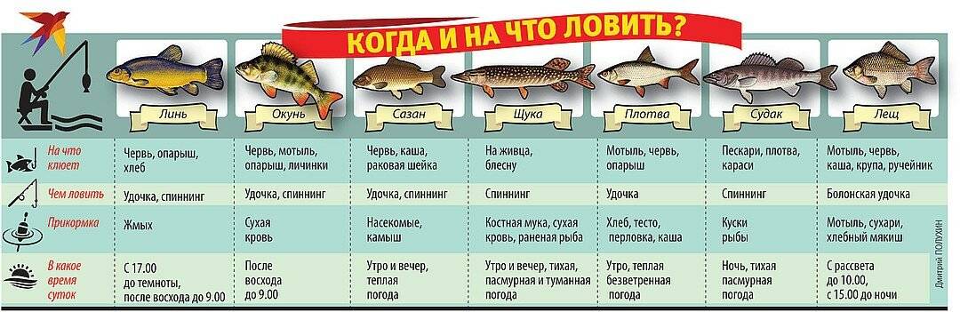 Рыбалка в октябре и её особенности | oribalka.ru