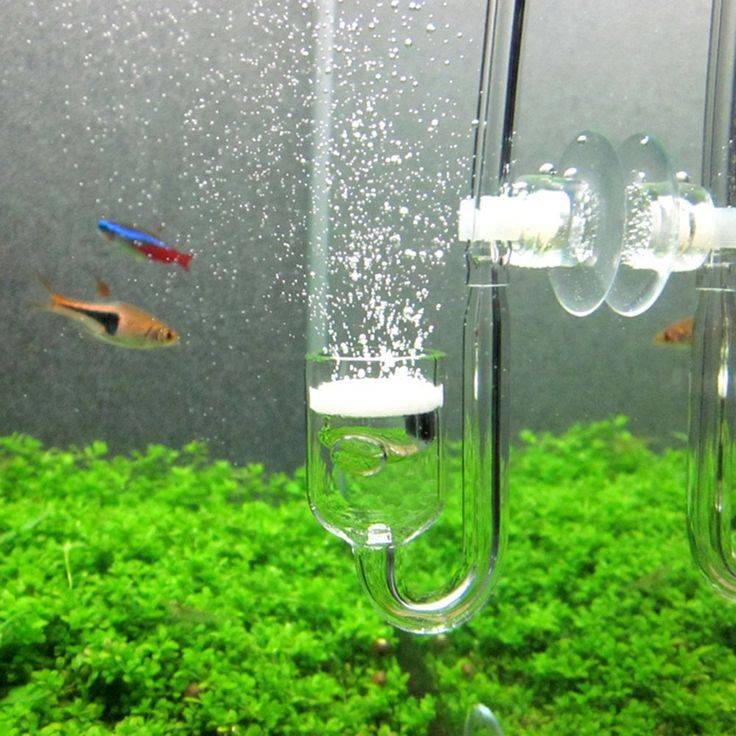 Аэрация воды в аквариуме: зачем нужна, какой должна быть, можно ли отключать, как сделать своими руками