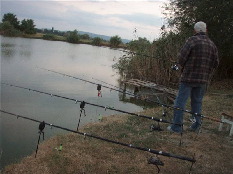 Платная и бесплатная рыбалка в подольском районе - суперулов - интернет-портал о рыбалке