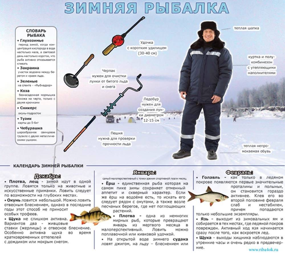 Клев рыбы в волгоградской области. рыбалка в волгограде