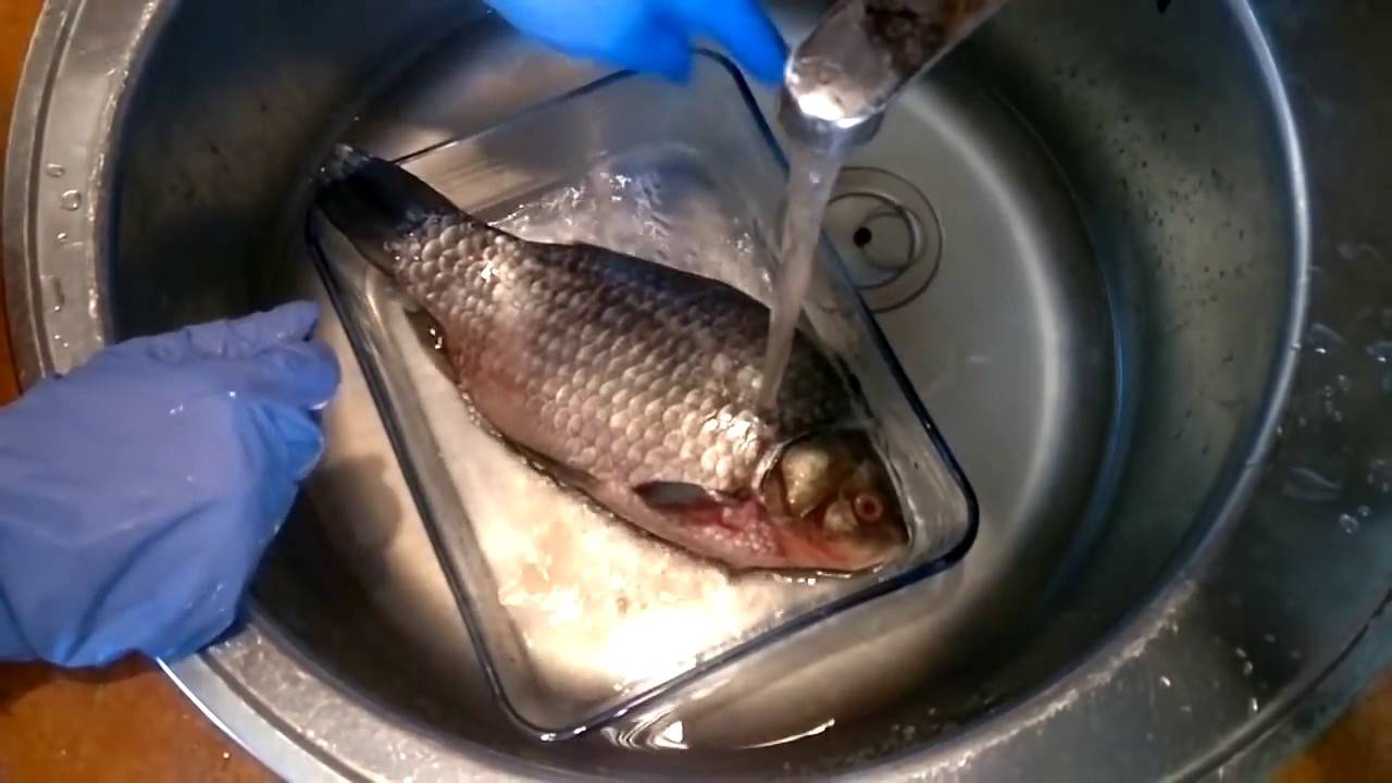Как разделать рыбу на филе