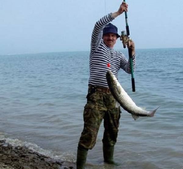 Рыбалка на черном море: ловля пеленгаса