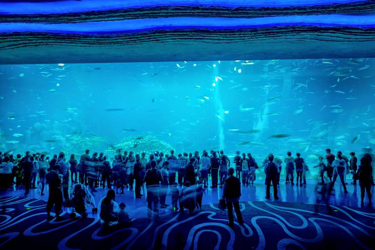23 самых больших океанариума мира