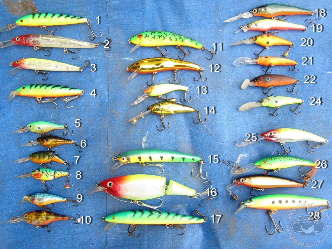 Ловля лосося: выбираем лососевые спиннинги и блесны