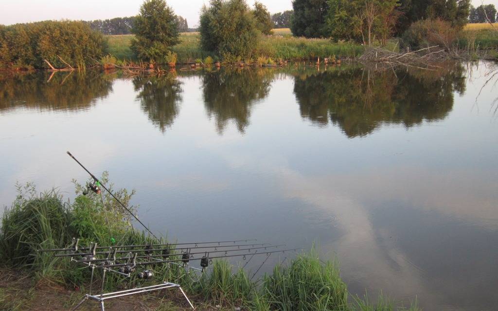 Правила рыбалки в тамбовской области (2022 г.)