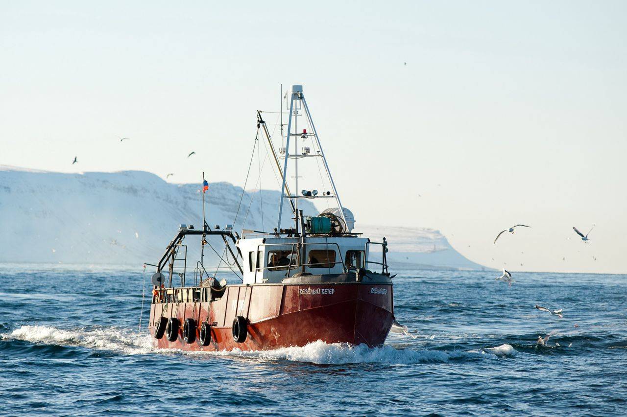 Морская рыбалка на катере в баренцевом море, териберка