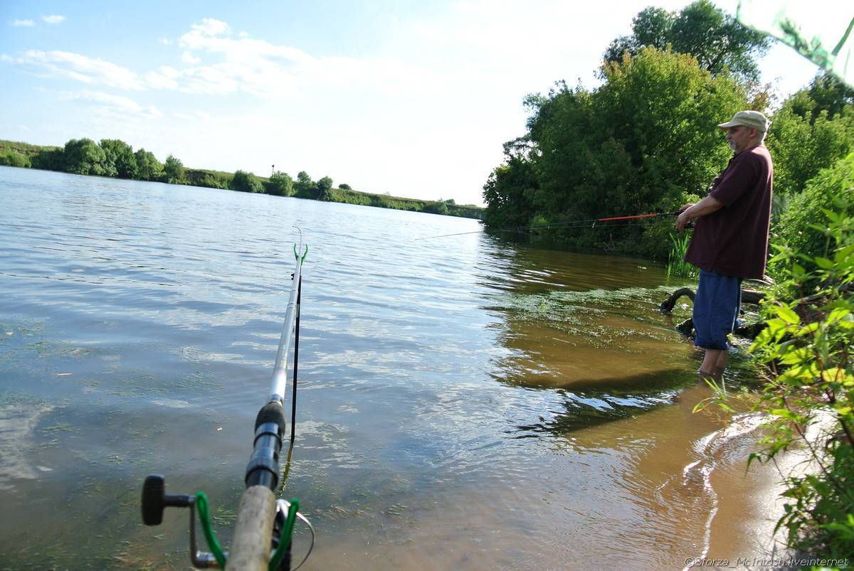 Рыбалка в таганроге — описание местных водоемов, где лучше ловить