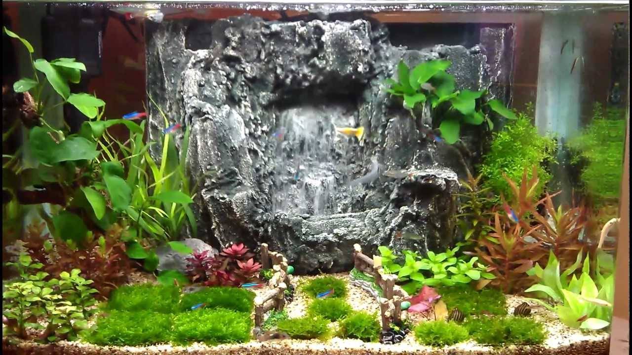 Палюдариум — комнатный водный сад. как сделать палюдариум своими руками? растения, фото — ботаничка