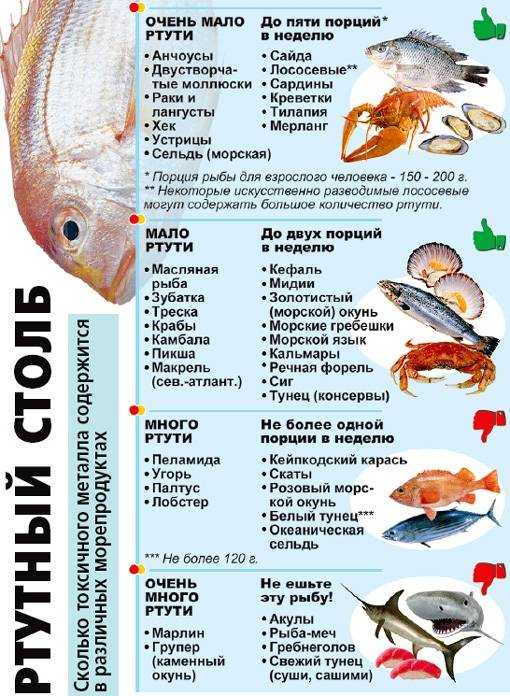 Питание рыб. чем питается рыба? что такое планктон?