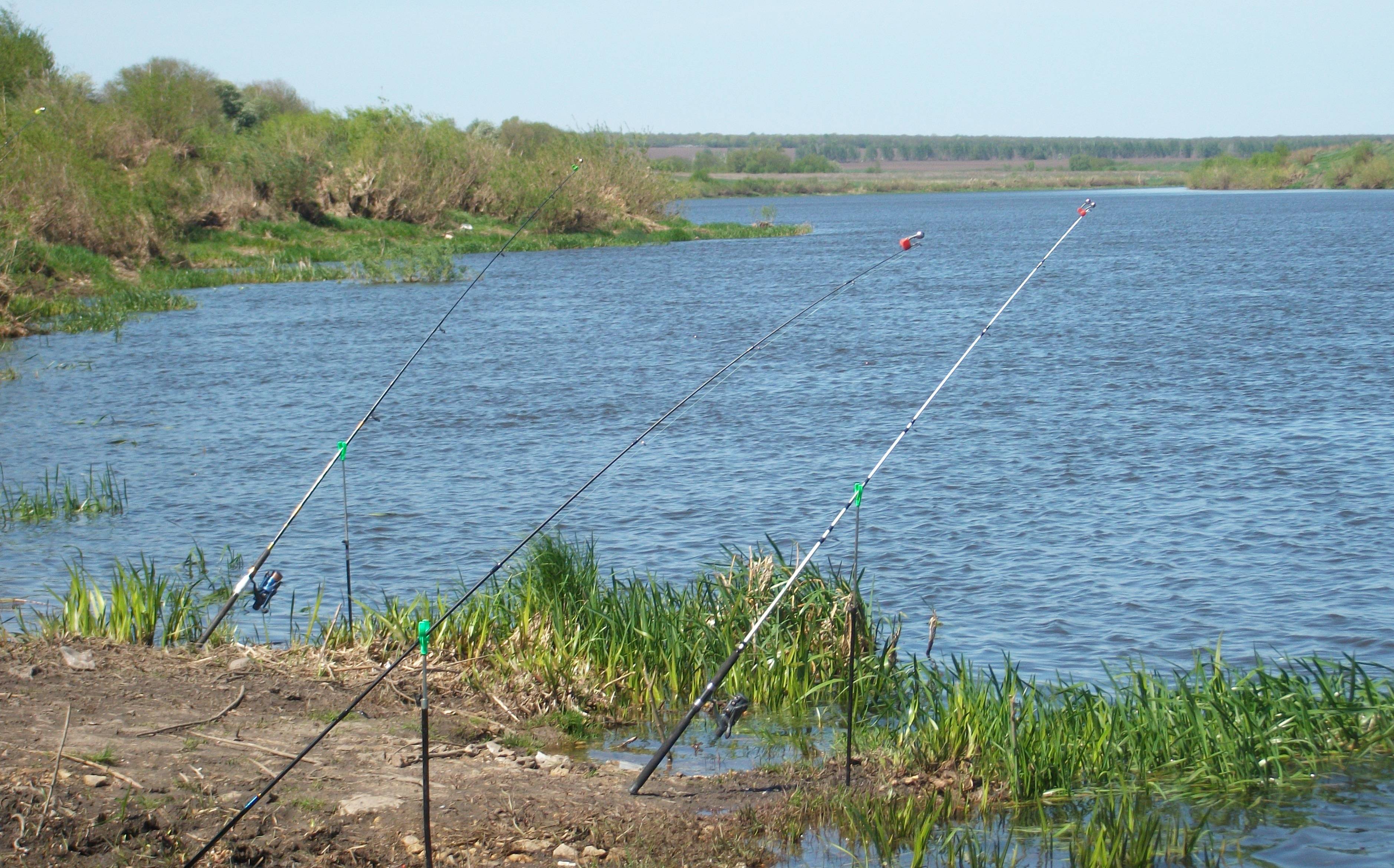Рыбалка в липецкой области: водоемы и особенности рельефа, лучшие места и советы по прикорму