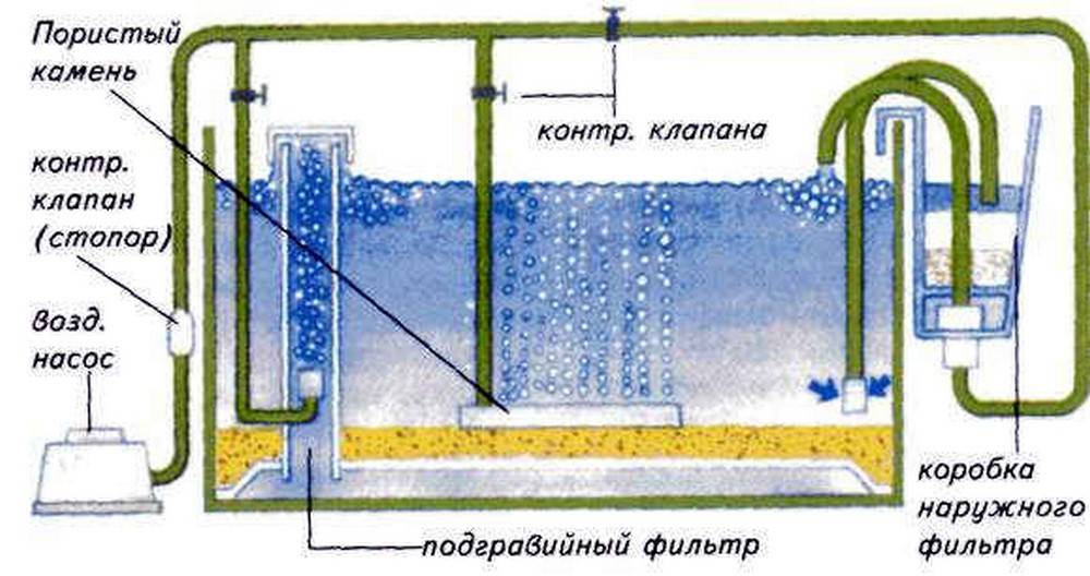 Аэрация воды в домашнем аквариуме: принцип и способы аэрации