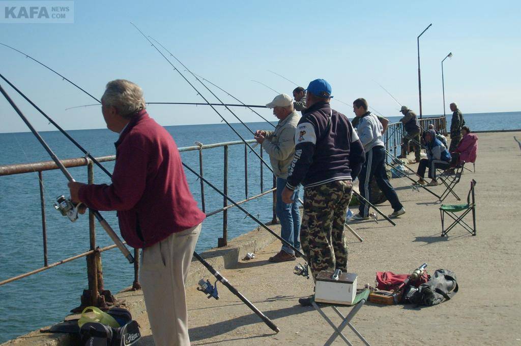 Пресноводная рыбалка в крыму 2023 — форель, щука, карп, карась, сазан, окунь…
