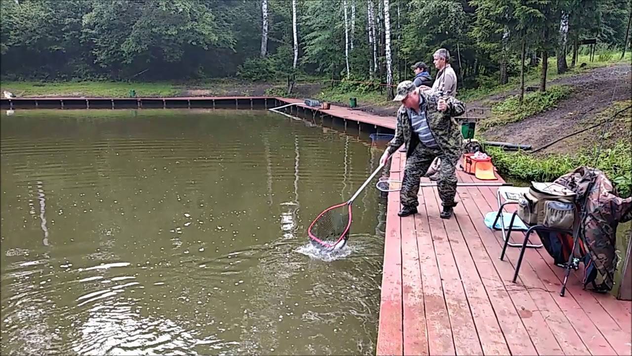 Рыбалка клевое место