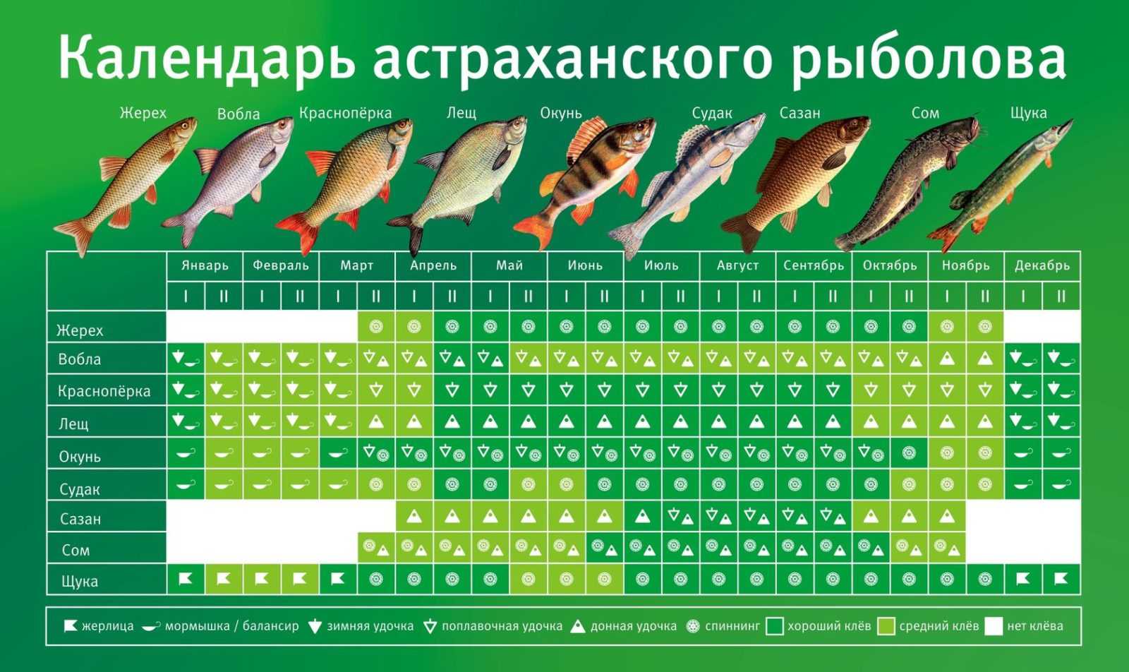Рыбалка в мае: какая рыба ловится и где ее искать