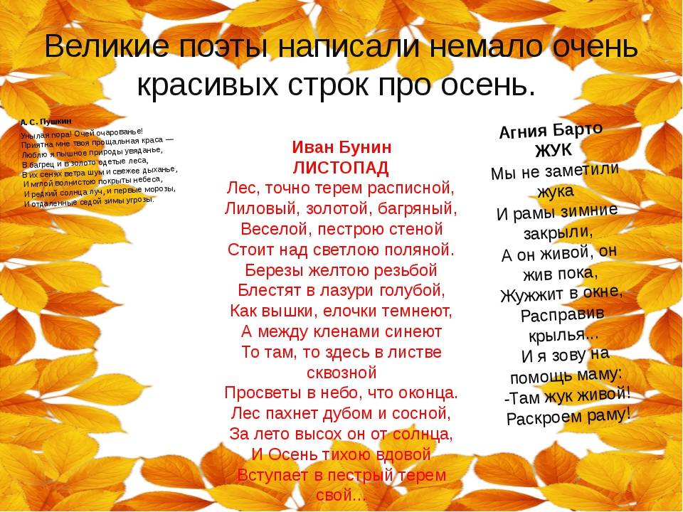 Стихи про осень для детей 5 лет | детские стихи