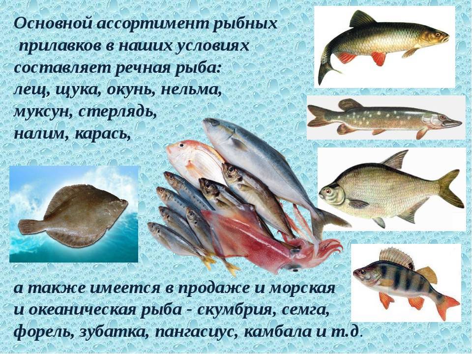 Болезни аквариумных рыбок: симптомы, лечение в домашних условиях, описание и фото внешних признаков