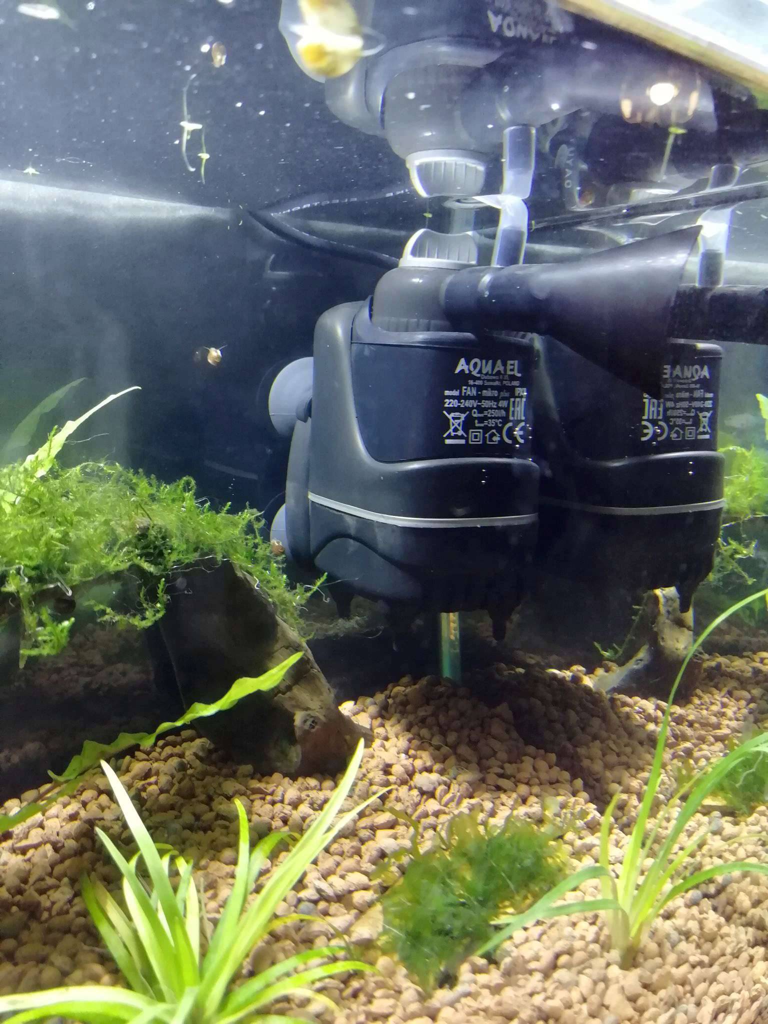 Как чистить фильтр в аквариуме