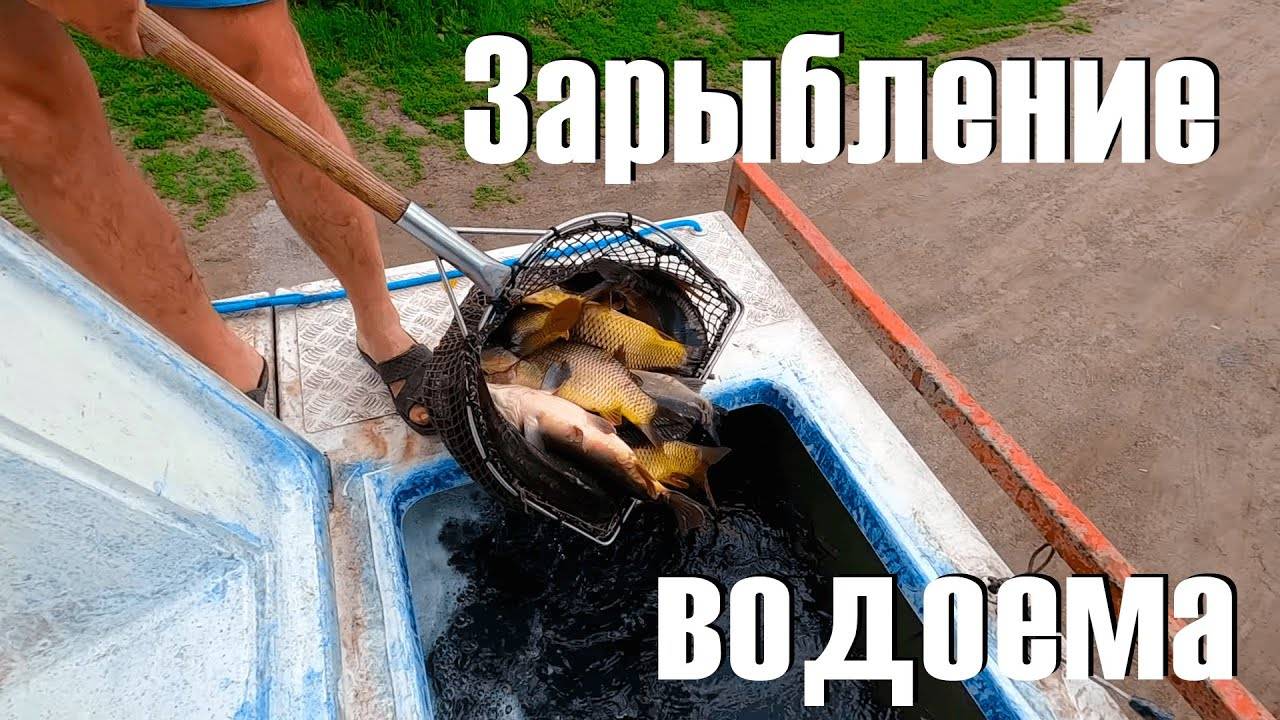 Рыбалка в иркутской области - читайте на сatcher.fish