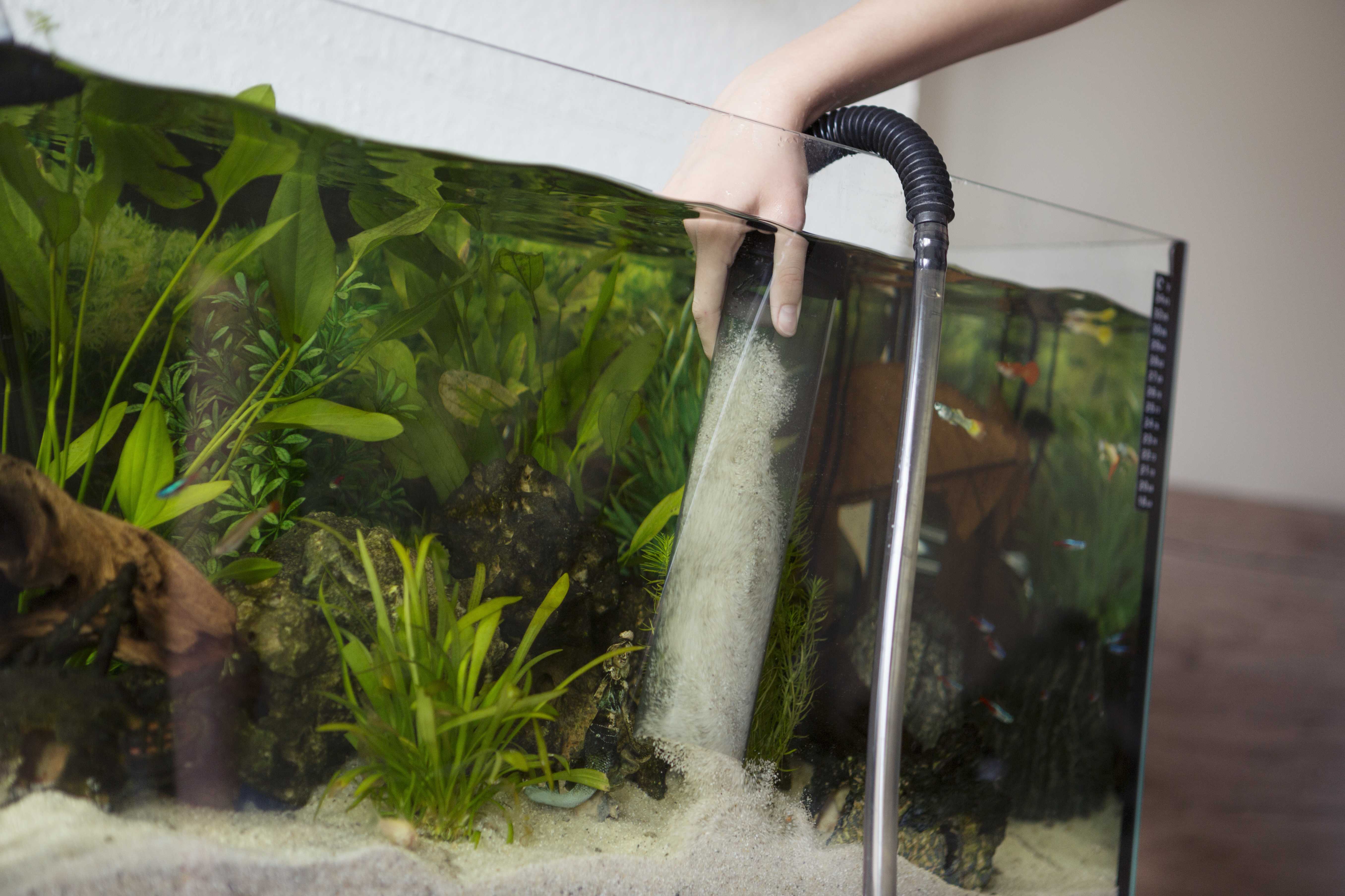 Как чистить фильтр в аквариуме и насколько часто мыть