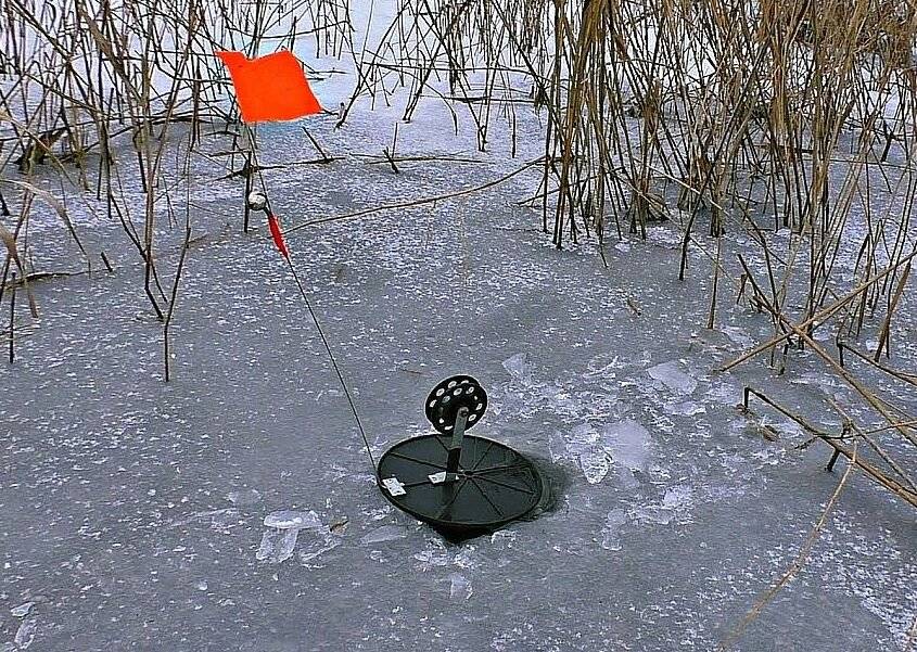 Ловля щуки по первому льду | как ловить на жерлицы?