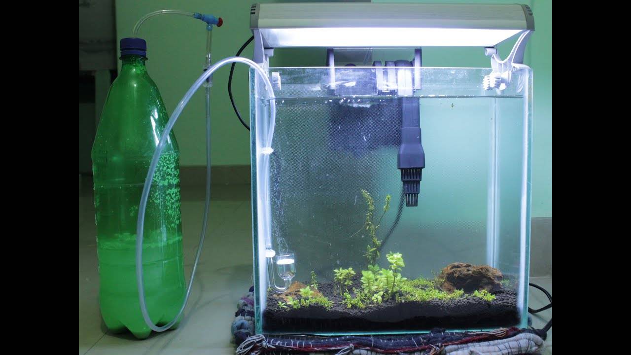 Аэратор для аквариума: подача кислорода
