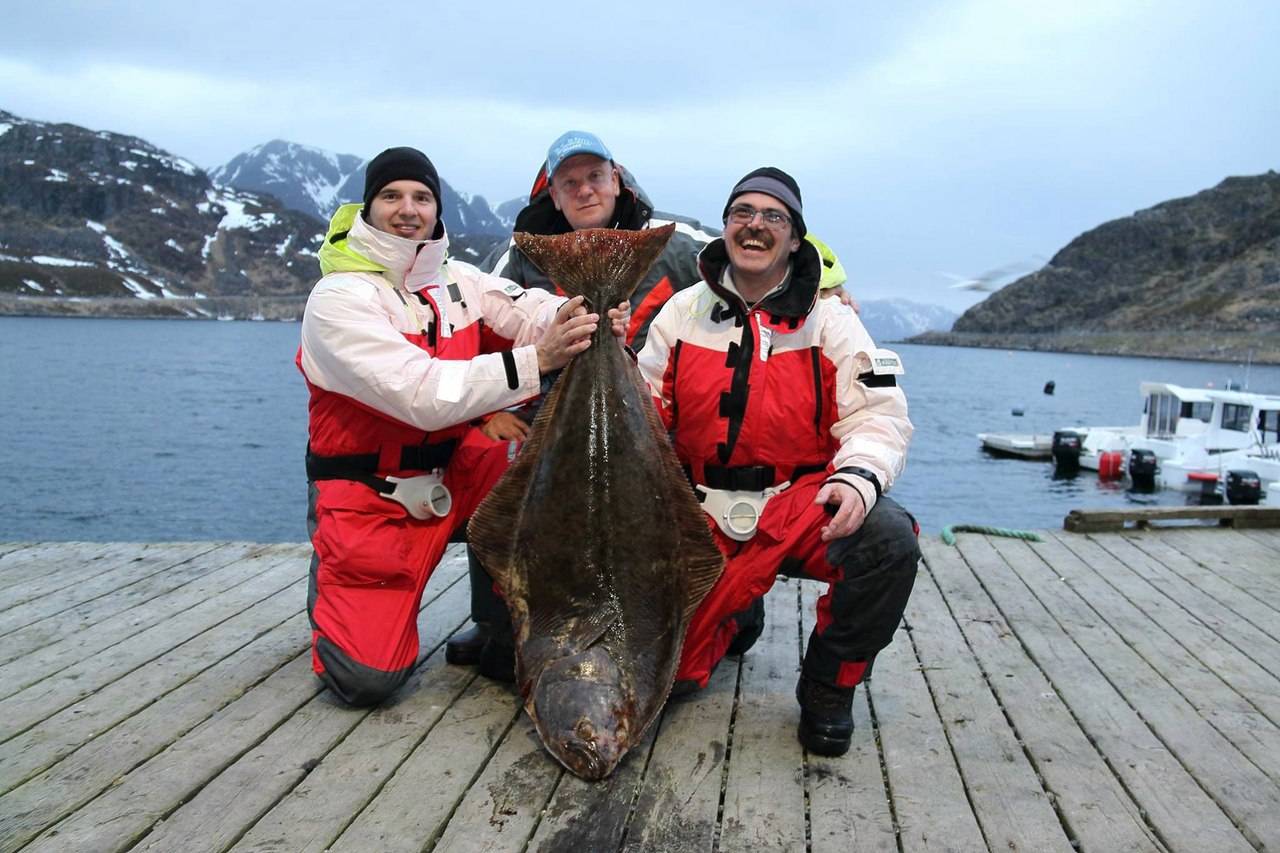 Рыбалка в норвегии — особенности, где можно ловить, какая рыба водится