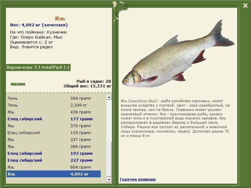 Подуст обыкновенный – пресноводная рыба