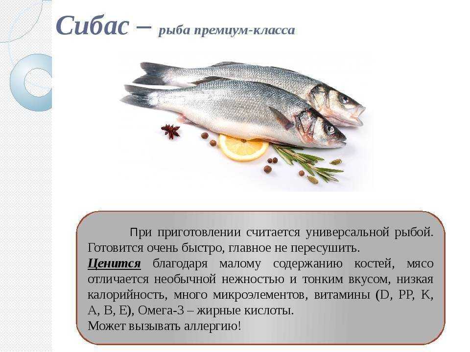 Чем питаются рыбы