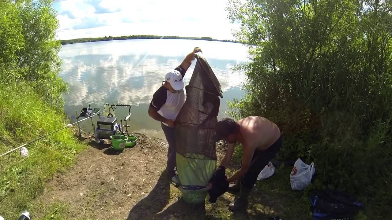 Рыбалка в егорьевске: особенности ловли в рыбхозах егорьевского района, какая рыба водится