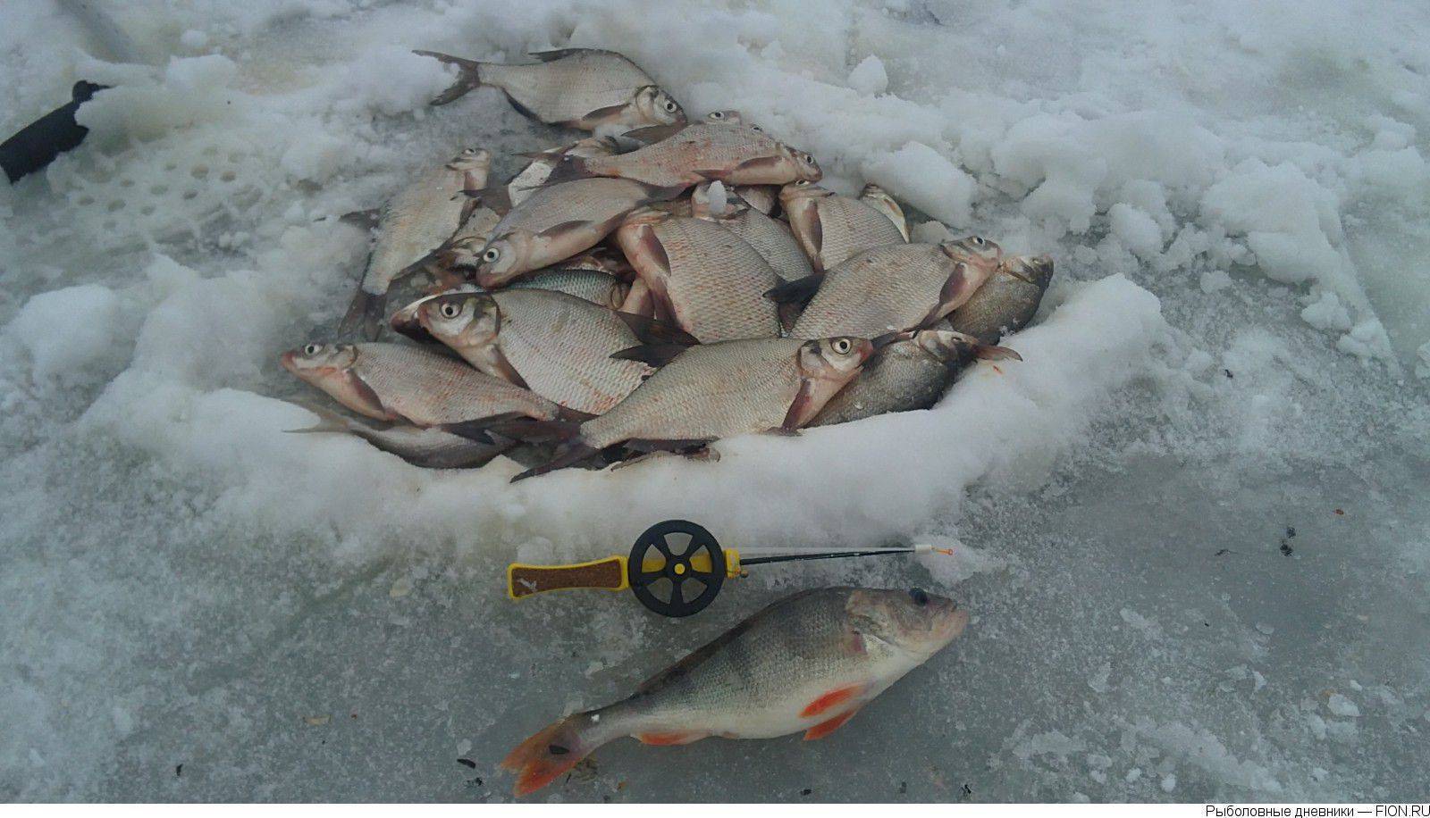 Рыбалка в Белгородской области – важные особенности