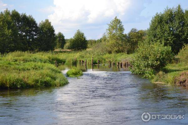 Самые крупные реки протекающие в рязани и рязанской области