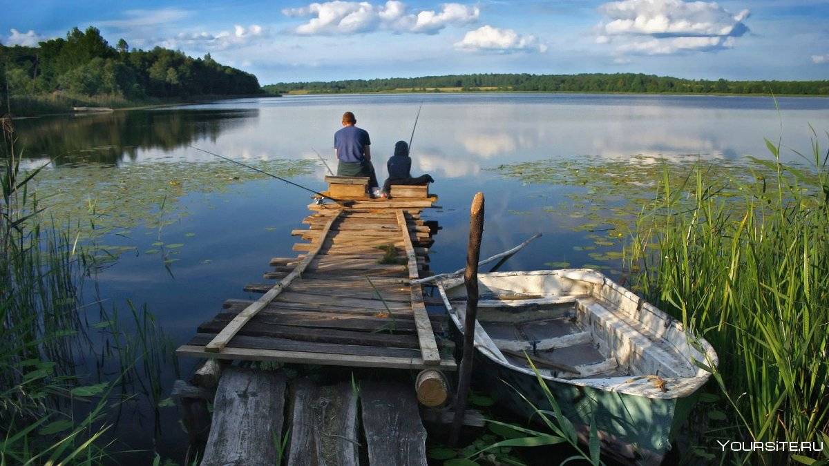 Рыбалка на дону 2023: дикарем, самые популярные места
