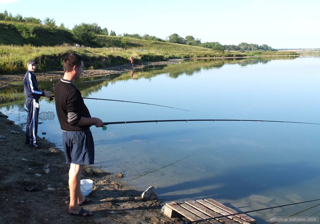 Правила рыбалки в забайкальском крае в 2020 г.