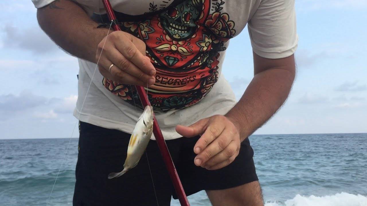 Снасти для морской рыбалки: от удилища до крючка