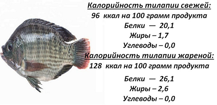 Полезная красная рыбка — нерка: какова калорийность, состав и правила приготовления продукта?