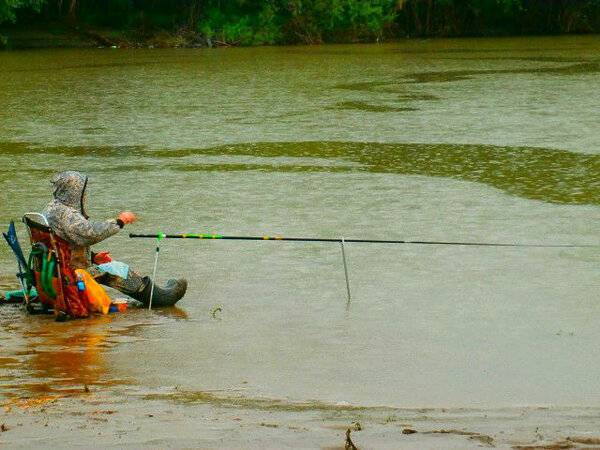 Клюёт ли лещ в дождь: ловля в дождливую погоду на фидер, ловится ли рыба после осадков