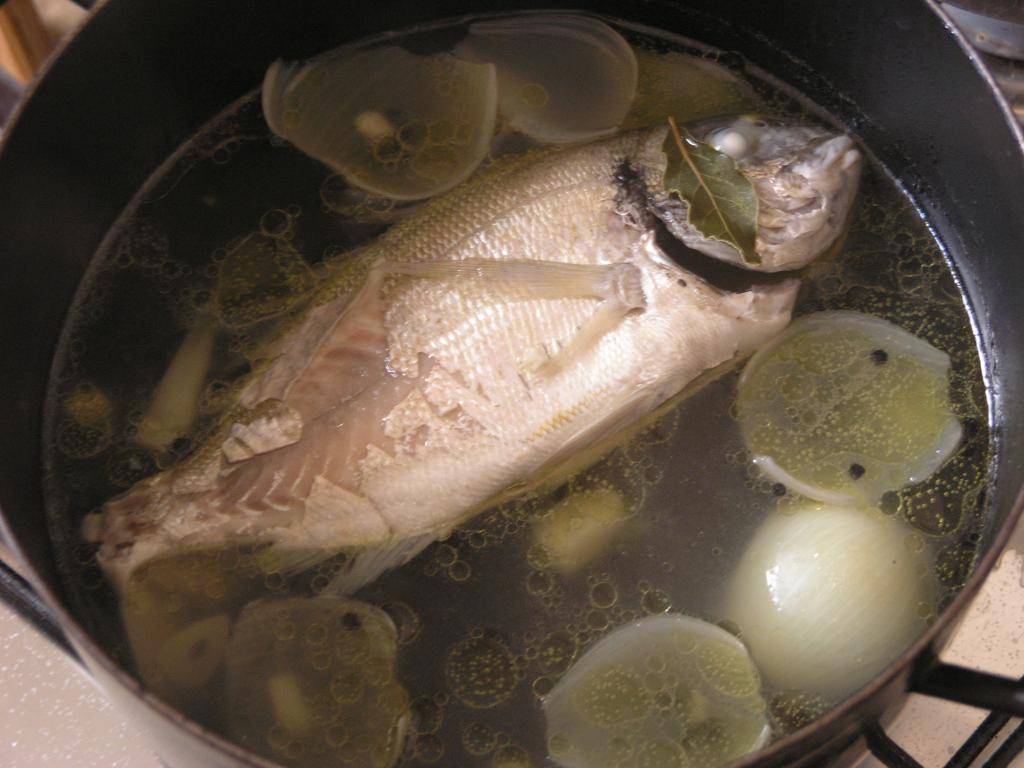 Сколько варить рыбу: время, условия, польза и вред, рецепты